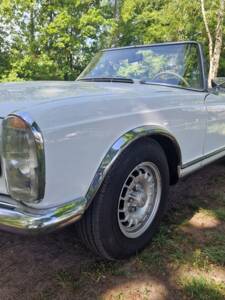 Image 32/100 de Mercedes-Benz 250 SL (1967)