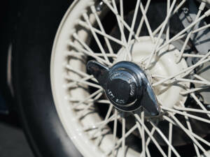 Image 27/50 of Austin-Healey 100 S (1955)