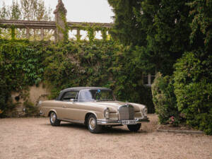 Image 20/50 de Mercedes-Benz 250 SE (1966)