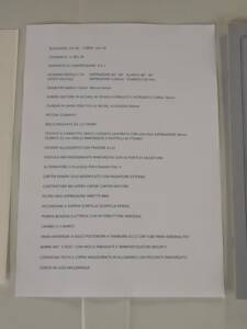 Immagine 13/15 di FIAT 500 R (1975)