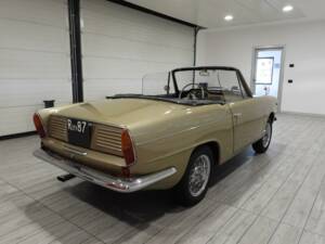 Immagine 3/14 di FIAT 600 Spider Vignale (1966)