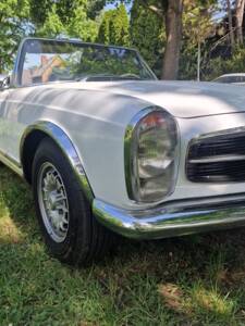 Image 33/100 de Mercedes-Benz 250 SL (1967)
