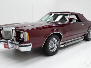 Bild 1/15 von Ford Thunderbird (1979)