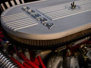Image 15/18 of AC Cobra (2011)