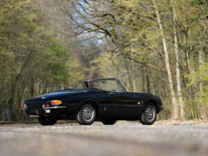 Image 9/59 of Alfa Romeo 1600 Spider Duetto (1966)