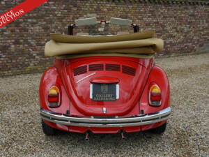 Bild 20/50 von Volkswagen Beetle 1600 (1971)