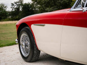 Imagen 39/39 de Austin-Healey 3000 Mk II (BJ7) (1963)