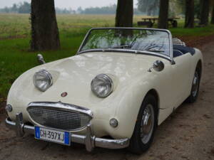 Imagen 2/25 de Austin-Healey Sprite Mk I (1959)