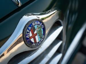Afbeelding 14/50 van Alfa Romeo 1900 Berlina (1953)