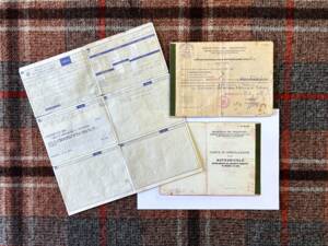 Bild 8/22 von Autobianchi Bianchina Panoramica (1966)