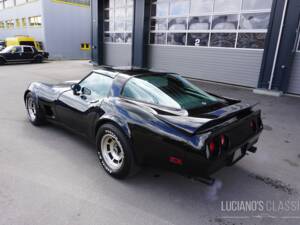 Bild 6/58 von Chevrolet Corvette Sting Ray (1979)
