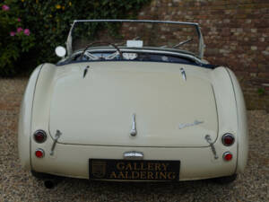 Bild 6/50 von Austin-Healey 100&#x2F;4 (BN1) (1953)