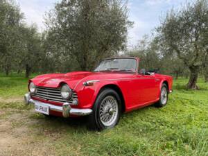 Image 4/33 of Triumph TR 4A IRS (1966)