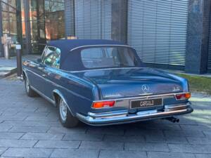 Image 10/13 of Mercedes-Benz 280 SE 3,5 (1970)