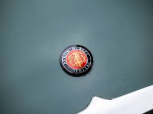 Bild 19/40 von Austin-Healey Sprite Mk I (1958)