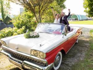 Afbeelding 7/31 van Ford Fairlane Skyliner (1959)