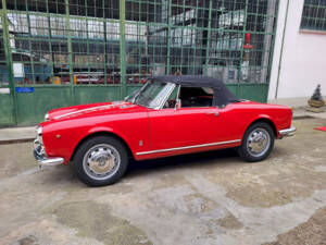 Image 48/65 of Alfa Romeo Giulietta Spider (1962)