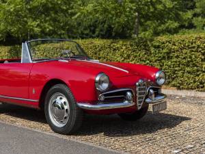 Image 13/34 of Alfa Romeo Giulietta Spider (1960)