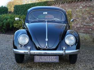 Immagine 5/50 di Volkswagen Beetle 1200 Standard &quot;Oval&quot; (1955)