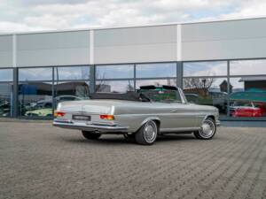 Imagen 6/30 de Mercedes-Benz 280 SE 3,5 (1969)