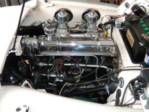 Image 14/124 of Triumph TR 3 (1957)