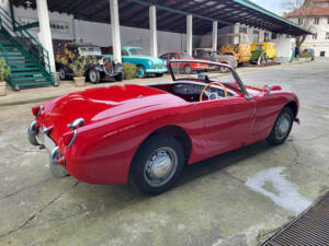 Image 9/51 of Austin-Healey Sprite Mk I (1960)