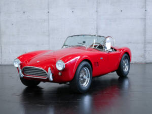 Bild 8/23 von AC Shelby Cobra 289 (1965)