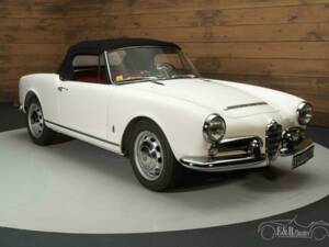 Immagine 15/19 di Alfa Romeo Giulia 1600 Spider Veloce (1964)