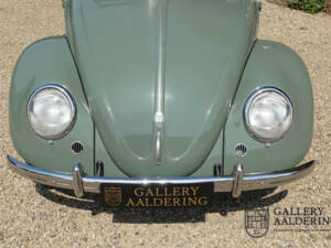 Image 31/50 of Volkswagen Beetle 1100 Standard (Brezel) (1951)