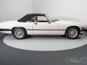 Bild 16/19 von Jaguar XJS 5.3 V12 (1991)