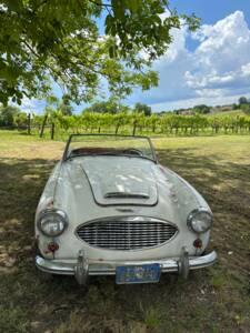 Bild 2/19 von Austin-Healey 3000 Mk I (BN7) (1960)