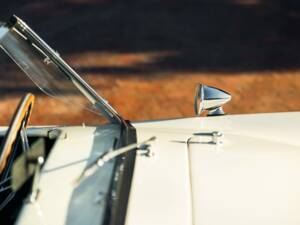 Afbeelding 41/49 van Shelby Cobra 289 (1964)