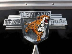 Image 9/26 of Leyland Tiger Cub (1957)