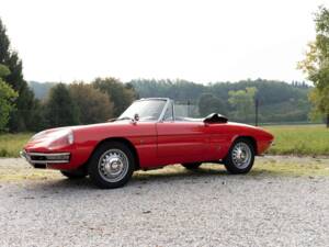 Image 5/31 de Alfa Romeo 1600 Spider Duetto (1967)