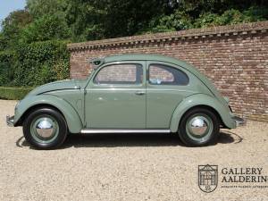 Bild 13/50 von Volkswagen Käfer 1100 Standard (Brezel) (1951)