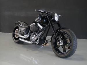 Image 1/33 of Harley-Davidson DUMMY (2008)