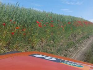 Image 15/16 of Land Rover Defender 110 (2008)