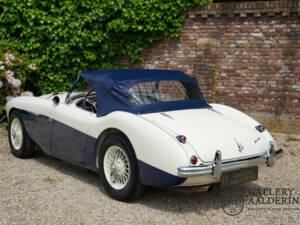 Image 9/50 of Austin-Healey 100&#x2F;4 (BN1) (1954)