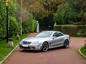 Bild 40/48 von Mercedes-Benz SL 65 AMG (2004)