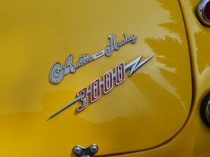Immagine 13/52 di Austin-Healey 3000 Mk I (BN7) (1959)