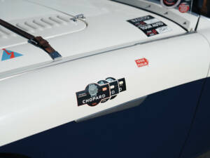 Image 18/50 of Austin-Healey 100 S (1955)