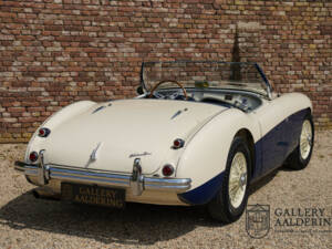 Immagine 46/50 di Austin-Healey 100&#x2F;4 (BN1) (1954)