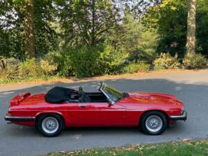 Immagine 15/50 di Jaguar XJ-S Convertible (1988)