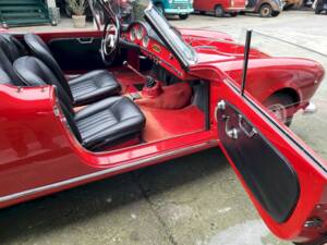 Image 27/65 of Alfa Romeo Giulietta Spider (1962)