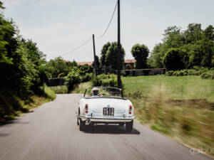 Image 4/71 de Alfa Romeo Giulietta Spider (1960)