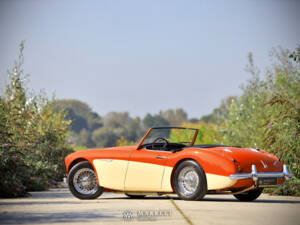 Imagen 40/40 de Austin-Healey 3000 Mk I (BN7) (1959)