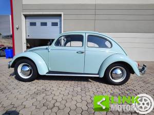 Afbeelding 9/10 van Volkswagen Beetle 1200 (1964)