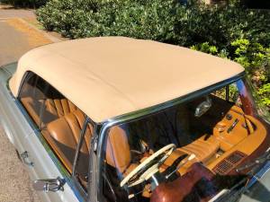 Bild 40/50 von Mercedes-Benz 220 SE b (1963)