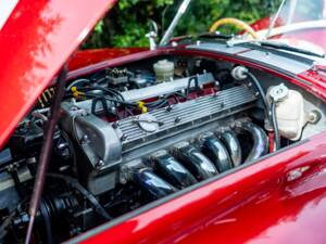 Bild 43/50 von Dax Cobra (1976)