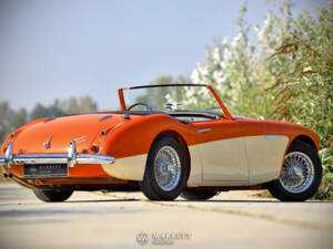 Immagine 6/40 di Austin-Healey 3000 Mk I (BN7) (1959)